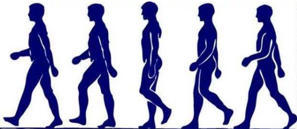如何矯正錯誤走路姿勢？正確的走路姿勢怎么走