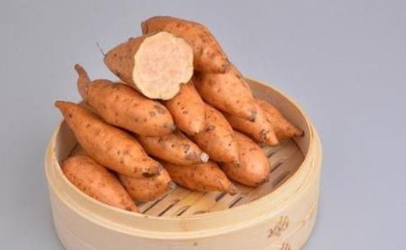 雪蓮果是地瓜嗎？雪蓮果的種植季節(jié)和方法